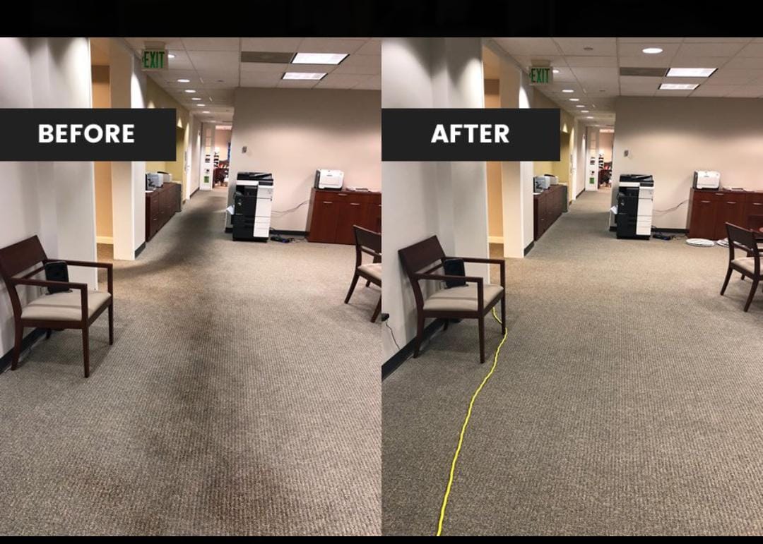 Before Sofa Cleaning