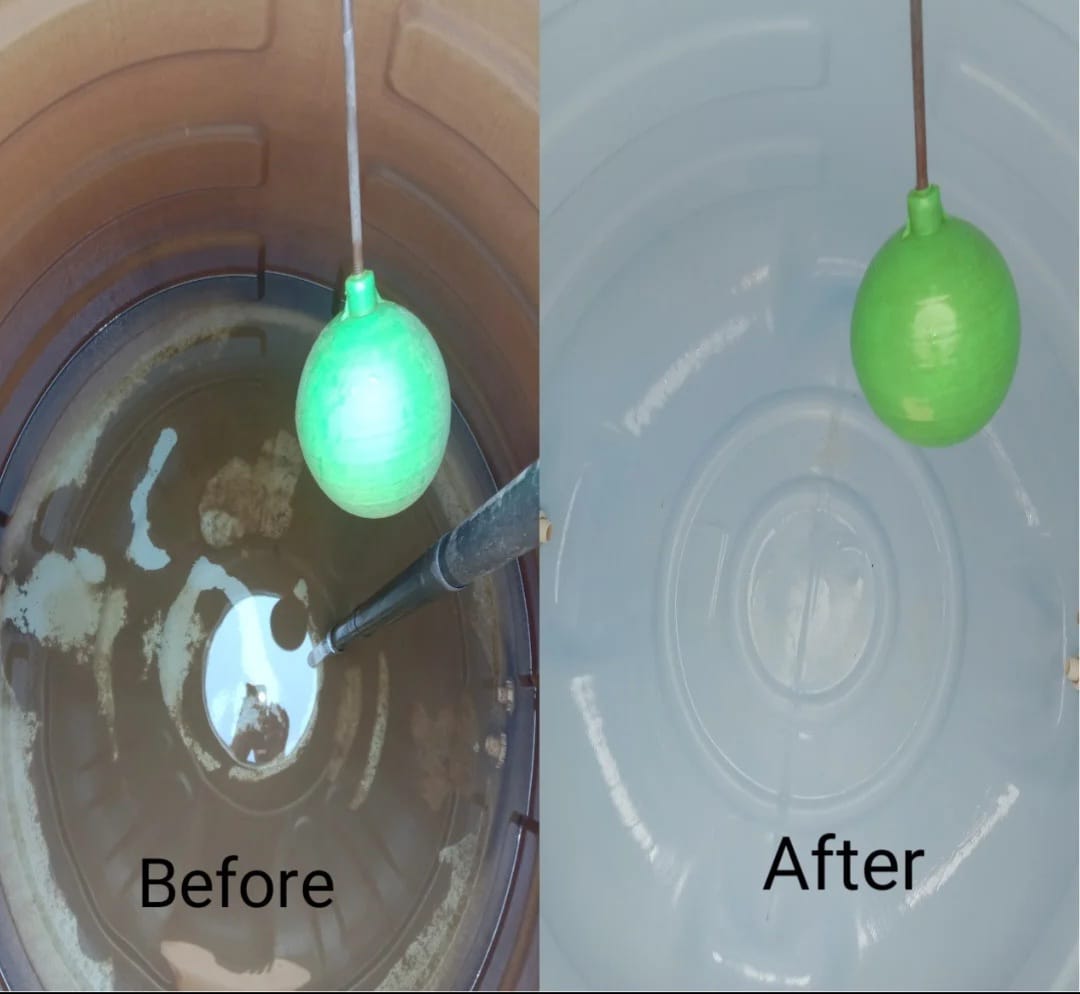 Before Sofa Cleaning