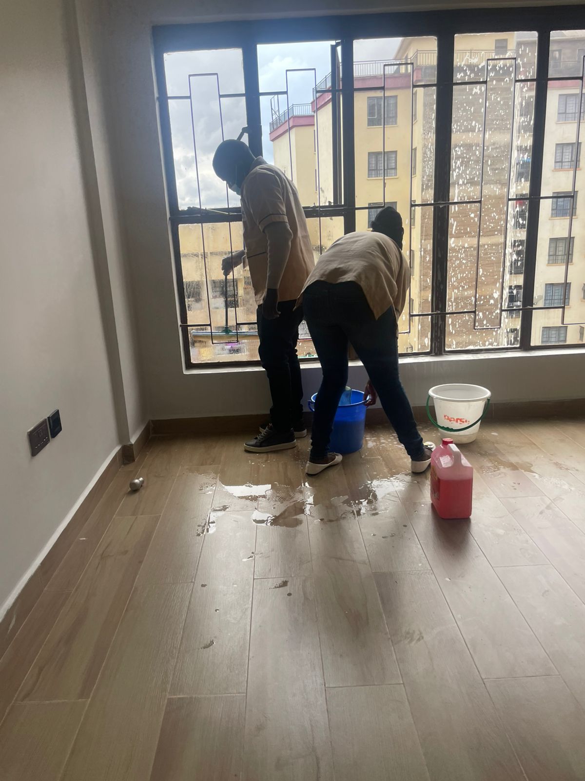 Before Sofa Cleaning