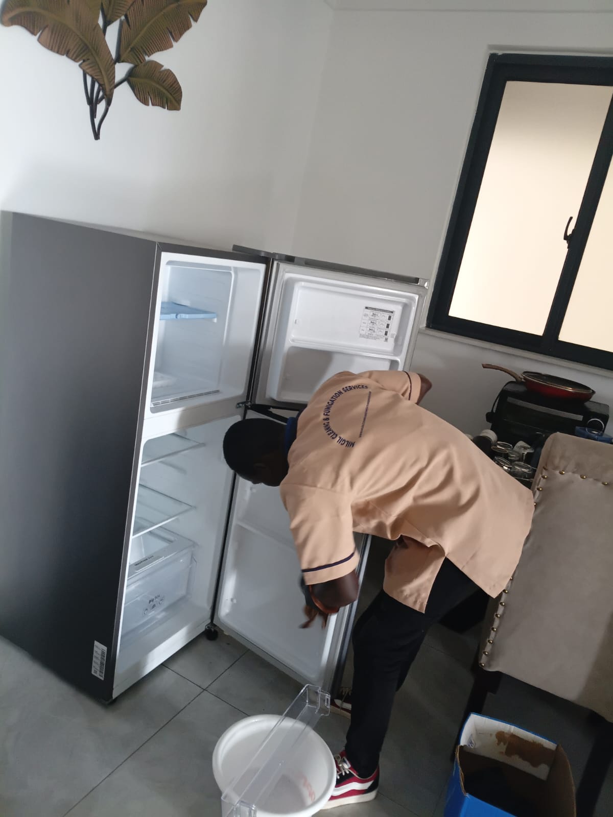 Before Sofa Cleaning