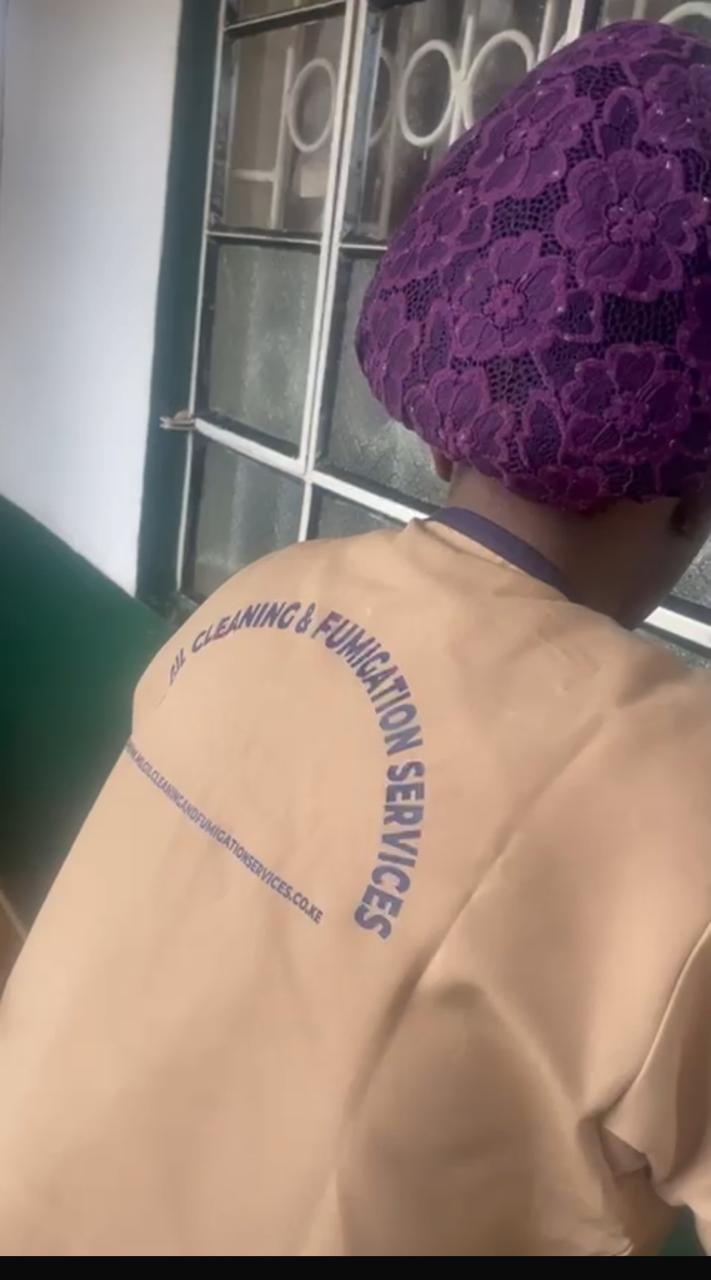 Window Cleaning Service